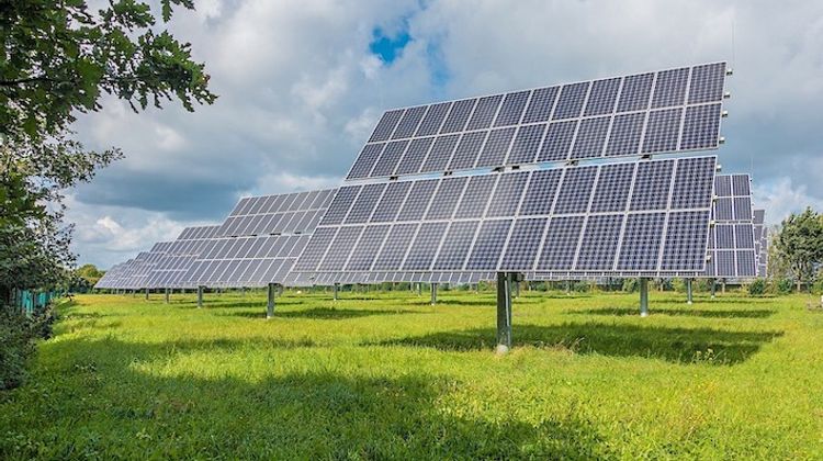 NÉELA - Une première solaire et locale pour les Landes d’Armagnac